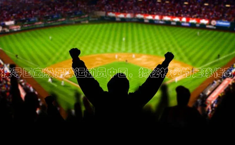 VSPORT官网百度教育探寻国宝级足球运动员中国，揭秘神秘的足球传奇