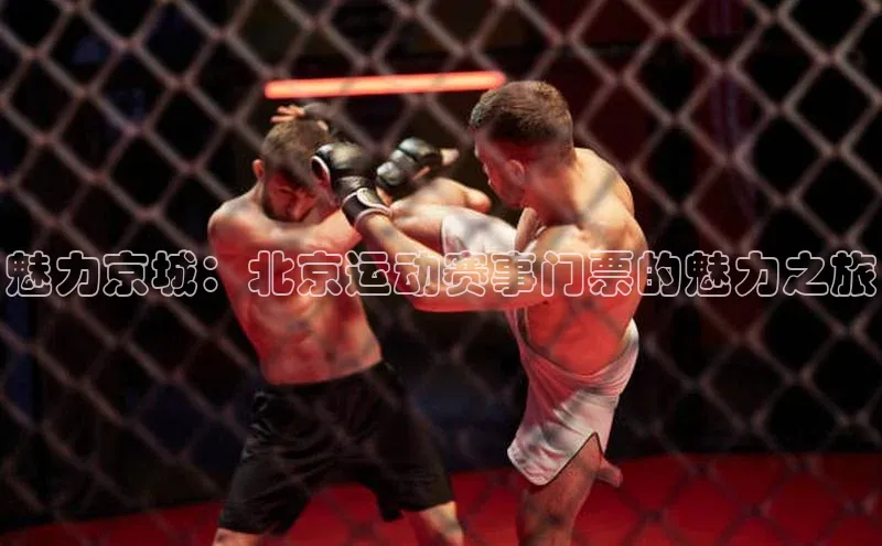Vsport入口每日互动魅力京城：北京运动赛事门票的魅力之旅