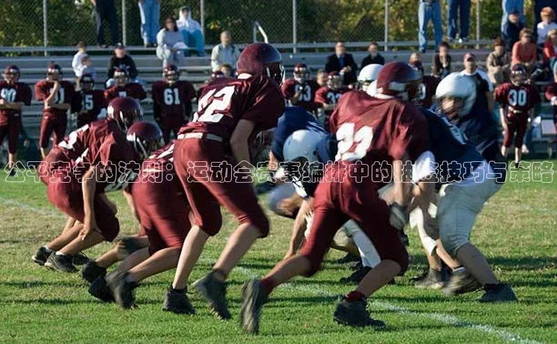 公平竞争的法则：运动会赛事编排中的抽签技巧与策略