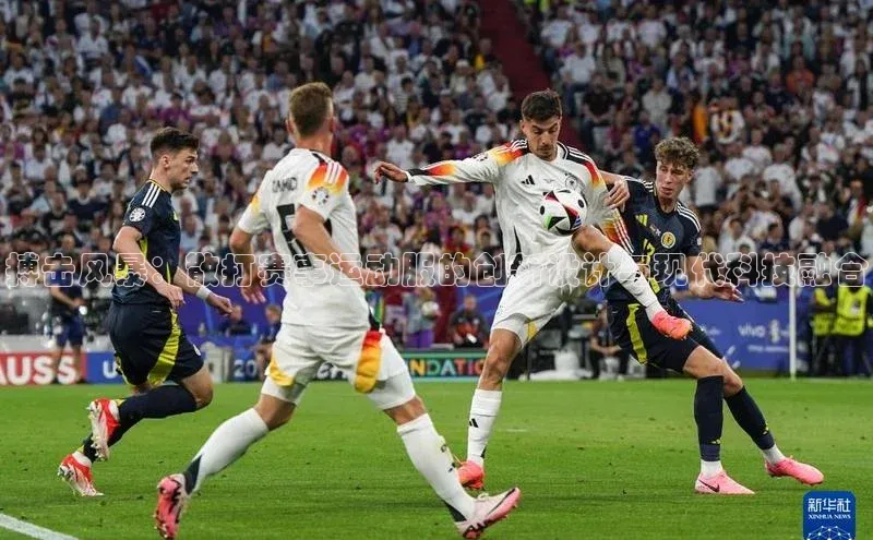 搏击风暴：散打赛事运动服的创新设计与现代科技融合