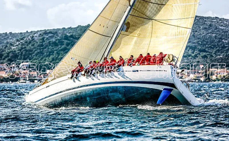 冰壶盛宴：精彩赛事瞬间回顾