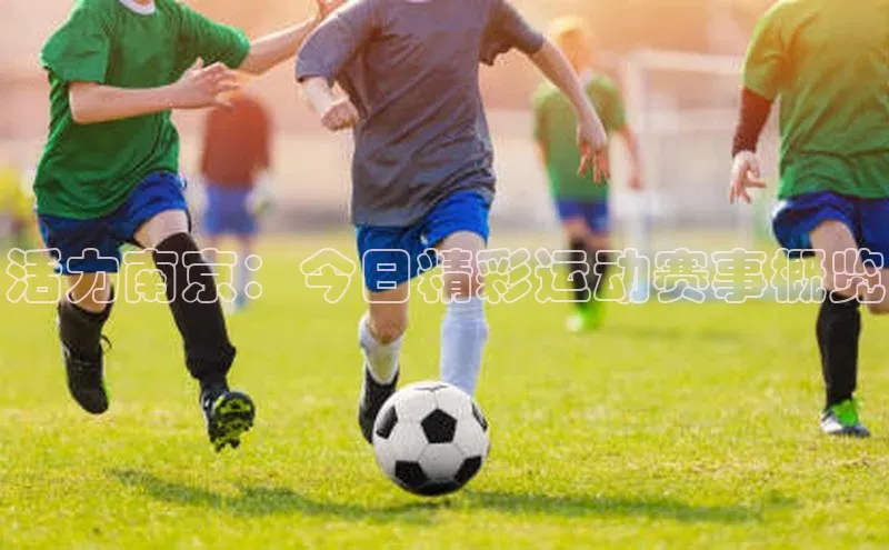 活力南京：今日精彩运动赛事概览