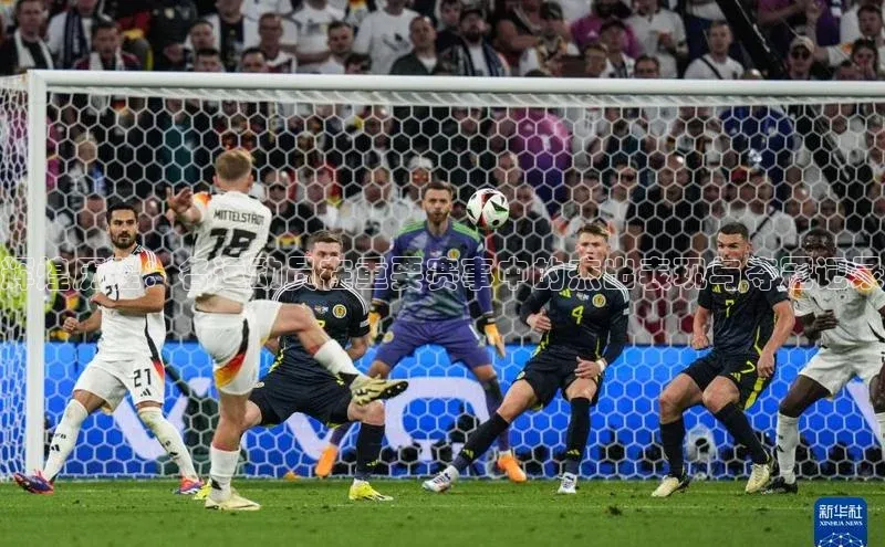 辉煌历程：各运动员在重要赛事中的杰出表现与夺冠记录