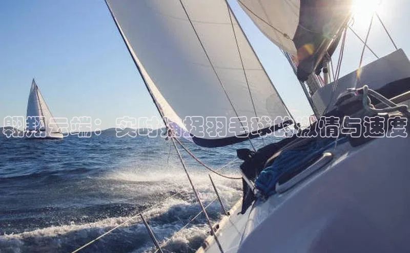 翱翔云端：实时捕捉羽毛球的激情与速度