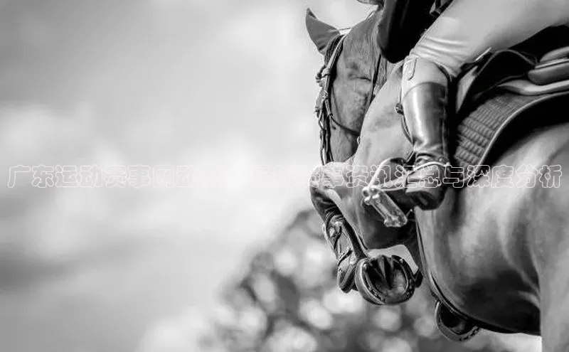 广东运动赛事网动态：最新赛事资讯汇总与深度分析