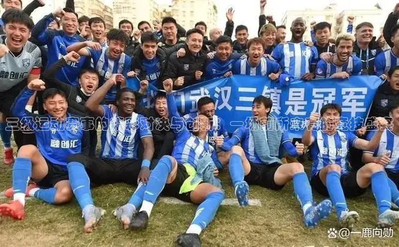 三级运动赛事的精彩对决与创新：一场前所未有的竞技盛宴