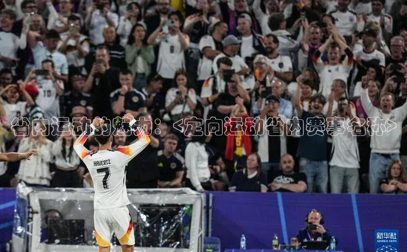 省内运动的魅力：<定向运动省内赛事名称>