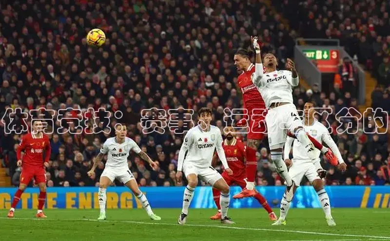 体育竞技：赛事、运动与区分的