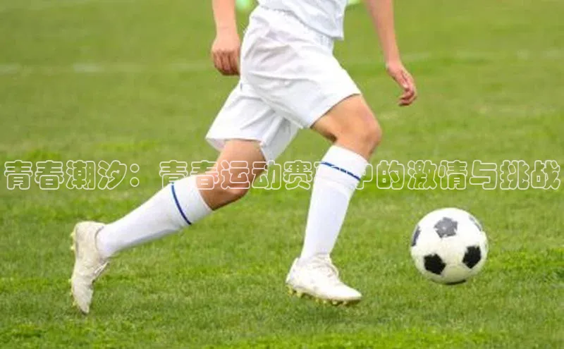 青春潮汐：青春运动赛事中的激情与挑战