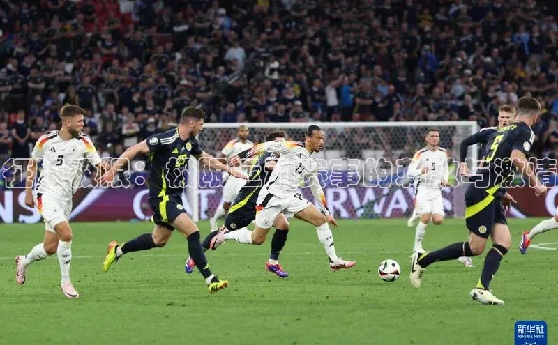 征服极限：极限运动赛事的刺激与激情