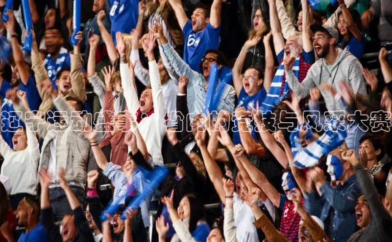 辽宁运动盛事：省内的竞技与风采大赛