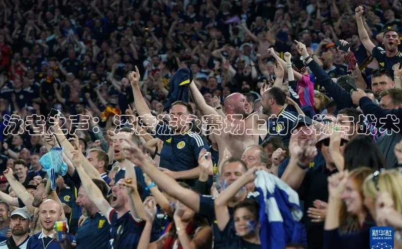 Vsport体育官方网站入口