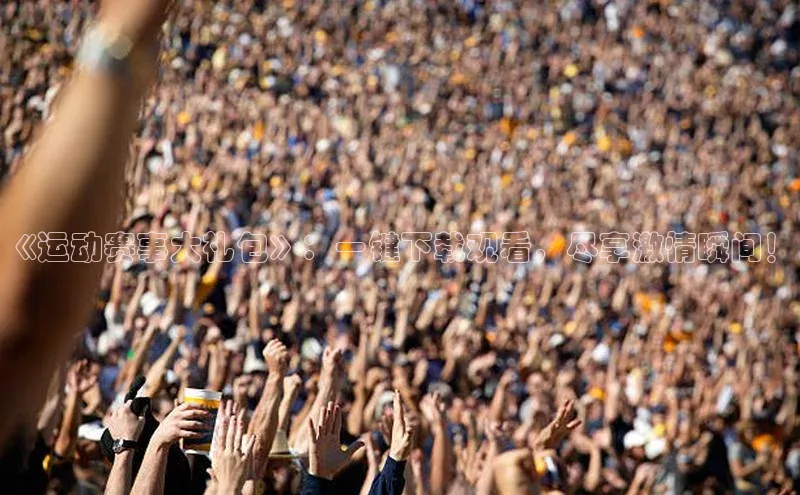 Vsport胜利因您更精彩v体育