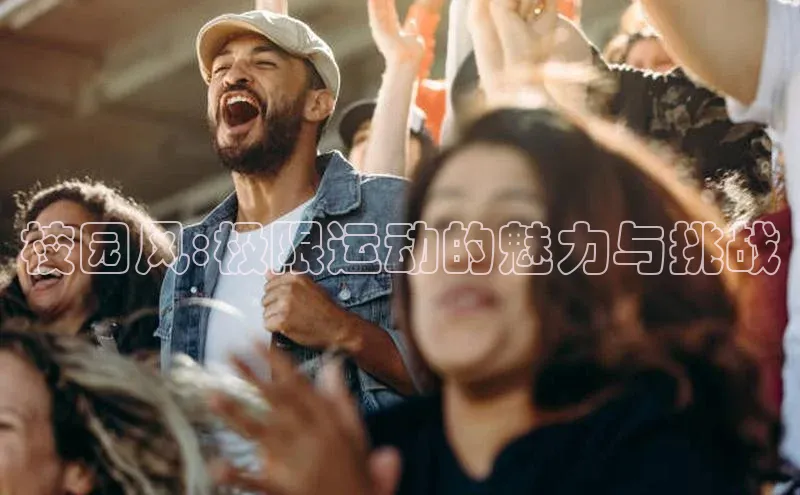 v体育app入口网页版